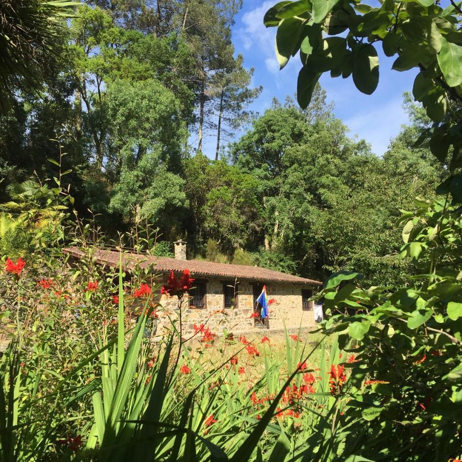 O Muino Da Balsina Villa Toiriz Dış mekan fotoğraf