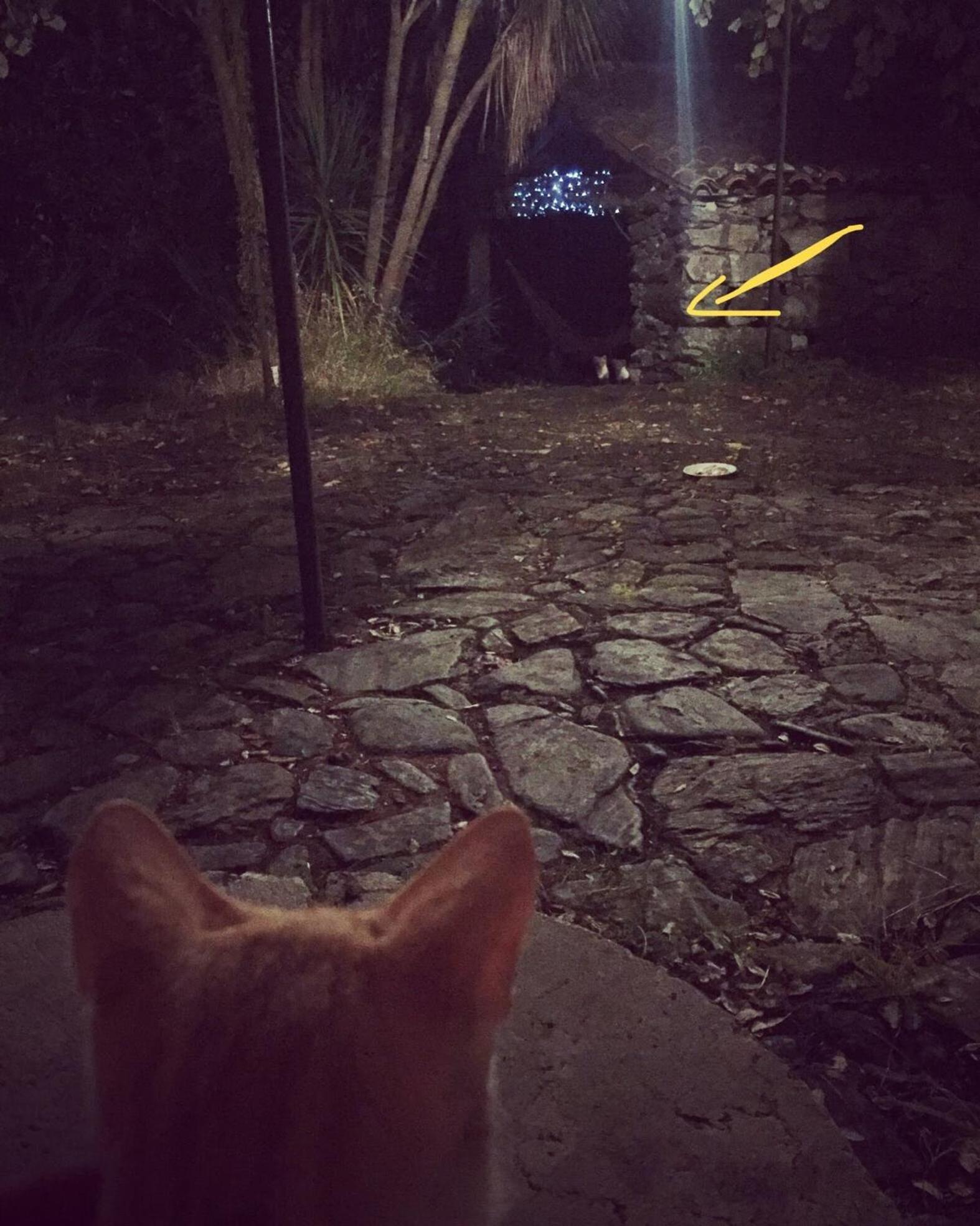 O Muino Da Balsina Villa Toiriz Dış mekan fotoğraf