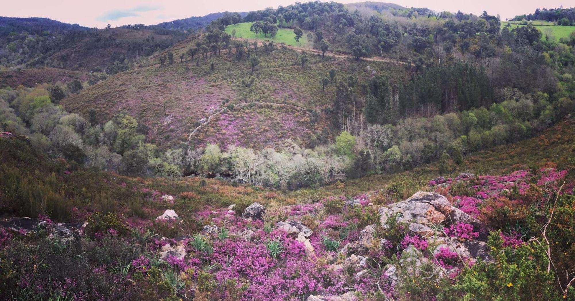 O Muino Da Balsina Villa Toiriz Dış mekan fotoğraf