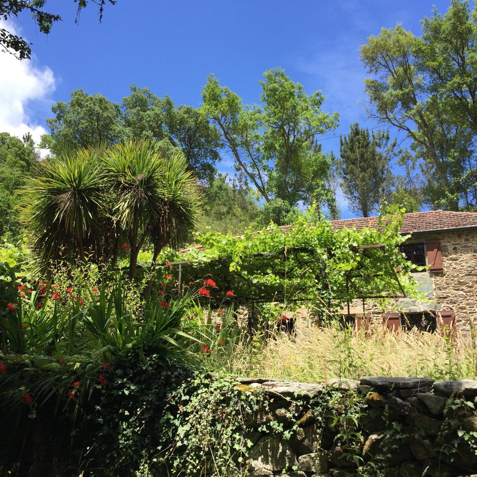 O Muino Da Balsina Villa Toiriz Dış mekan fotoğraf